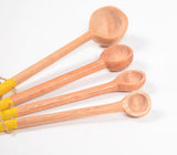 Neem Spoons Set 